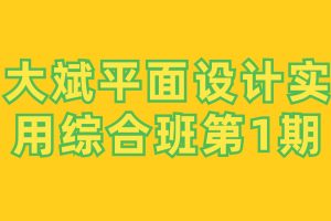 大斌平面设计实用综合班第1期百度网盘