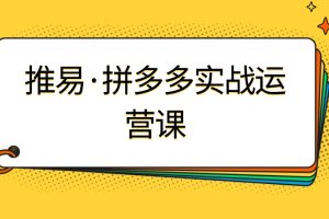 推易·8月底拼多多实战运营课百度网盘