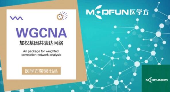 豪斯医生数据挖掘之WGCNA详解百度网盘