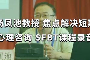 杨凤池教授 焦点解决短期心理咨询 SFBT课程录音百度网盘