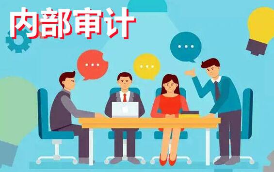 《企业内部审计讲解》视频百度网盘