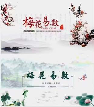 【易学上新】 26 戴荣君【梅花易数-八卦梅花术系统课程】89集
