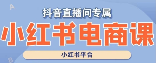 小红书电商高级运营课程，实操教学+案例分析百度网盘