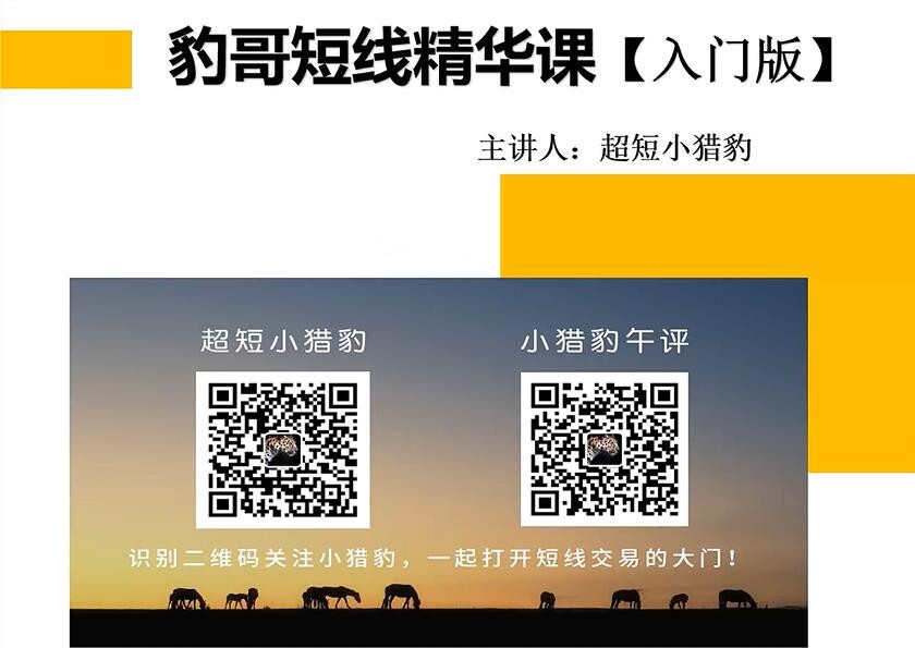 超短小猎豹-豹哥短线精华课入门版百度网盘