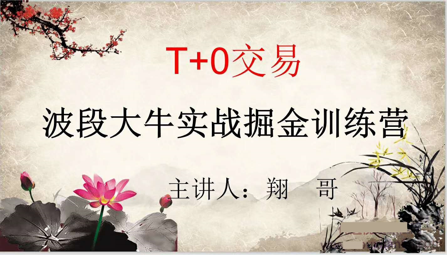 翔哥擒龙重磅课程T+0交易波段大牛实战掘金训练营实战课程