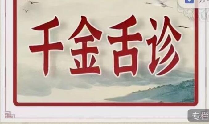 千金舌诊系统班百度网盘