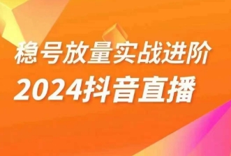 稳号放量实战进阶―2024抖音直播间精细化运营步骤百度网盘