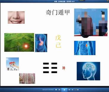 【易学上新】 19 宝树观奇门存思14天打卡修习营