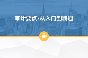 一门课学通审计实务：审计要点-从入门到精通百度网盘