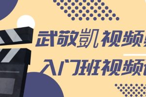 武敬凱视频剪辑入门班百度网盘