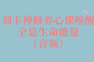 刘丰禅修养心课唤醒全息生命能量（音频）百度网盘