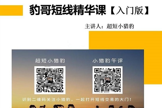 【超短小猎豹】《豹哥短线精华课入门版》