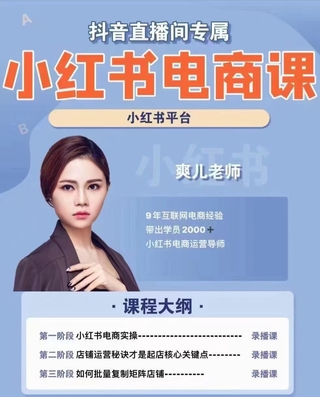【抖音上新】小红书电商高级运营课程 实操教学+案例分析