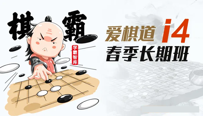 《王盛强老师围棋课:爱棋道春季i4长期班》32课时+4复习课
