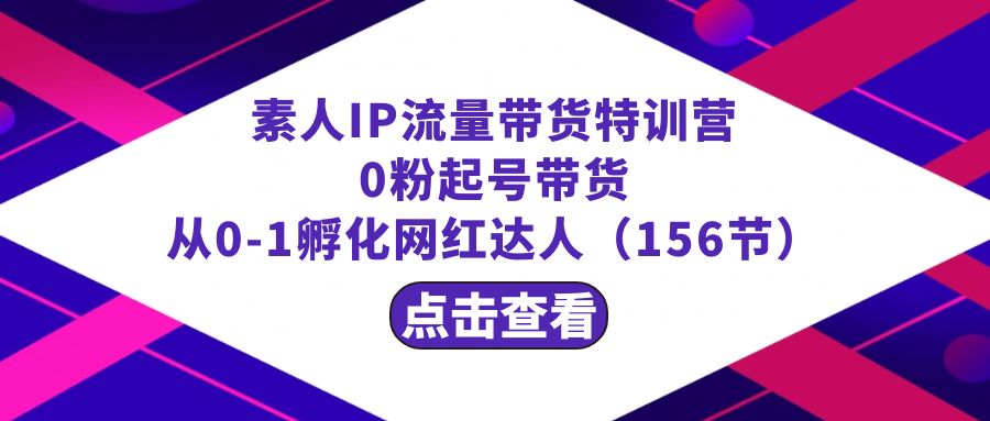 繁星·计划素人IP流量带货特训营:0粉起号带货从0-1孵化网红达人(156节)