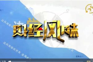 【边风炜】边风炜财经风味2024年-边学边赚视频教程