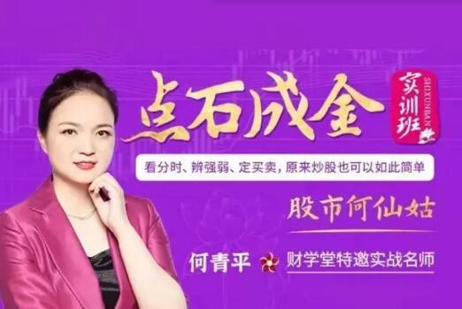 【何青平】《何青平点石成金系统课20节》