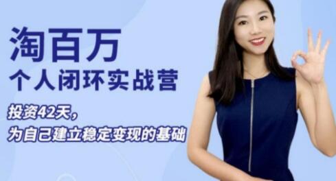 淘百万《个人闭环实战营》个人ip打造稳定变现