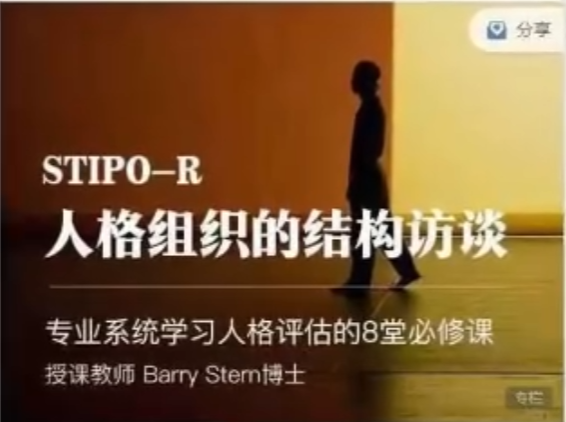 人格组织的结构访谈STIPO,专业系统学习人格评估的8堂必修课