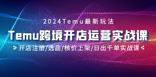 2024最新Temu跨境开店运营实操课，开店注册选品核价上架