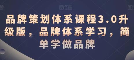 《品牌策划体系课程3.0升级版》品牌体系学习