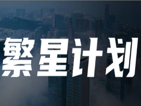 参哥素人IP流量打造繁星计划课