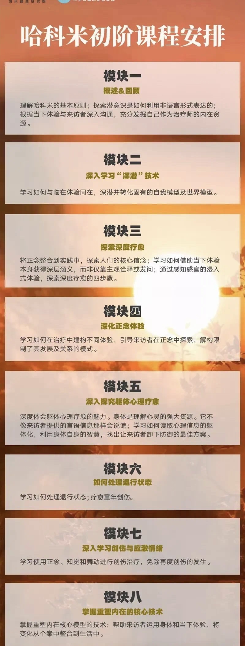 哈科米专业培训（初阶）八模块【录播课+直播课】