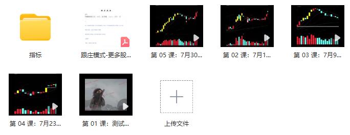【庄姐】《跟庄一姐 庄姐-跟庄战法视频+文档+指标 11文件》