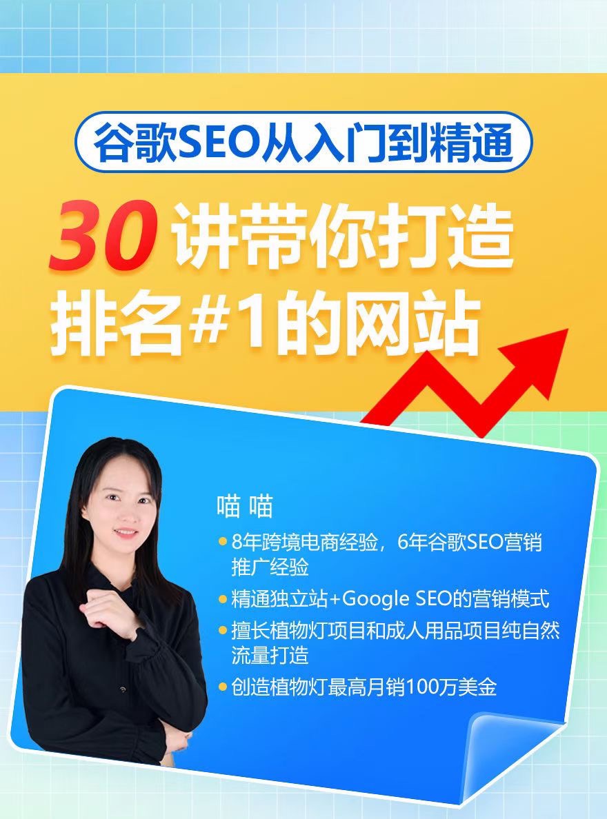 谷歌SEO从入门到精通，30讲带你打造排名#1的网站