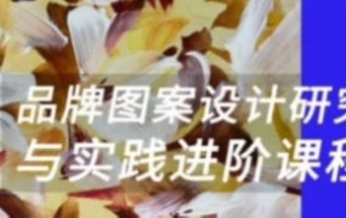 【设计上新】179. 壹衿时尚2023暑期品牌图案设计研究与实践进阶【画质还可以只有视频】