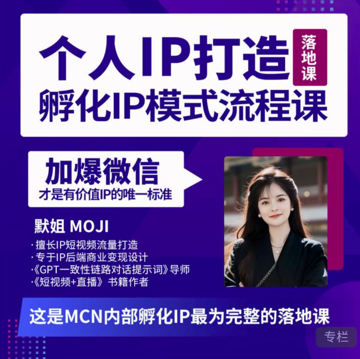 默姐·老板商业IP孵化流程课，完整个人IP短视频