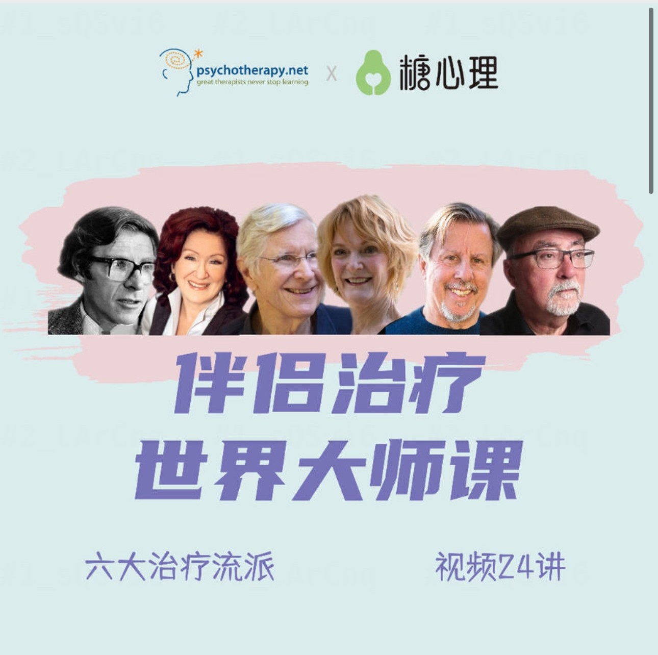 伴侣治疗世界大师课，重建亲密关系的六个思路，六大流派视频24讲