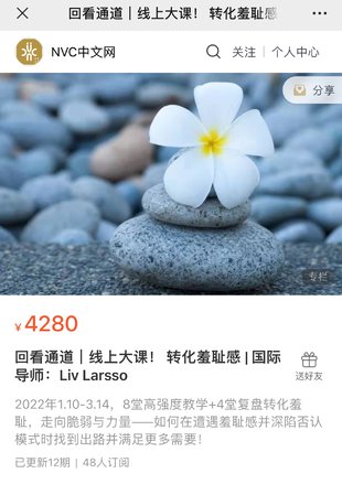 【心理上新】863、【完结】转化羞耻感 _ 国际导师：Liv Larsso