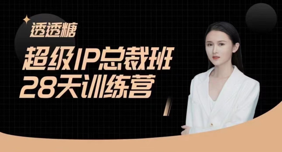 透透糖·超级IP总裁班28天训练营-5月，新媒体高效精准流量