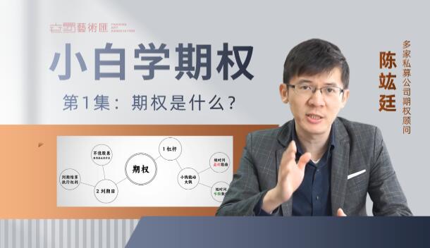 【策略星学院】《策略星学院从零开始学期权：基础课 视频+PDF 共20文件》