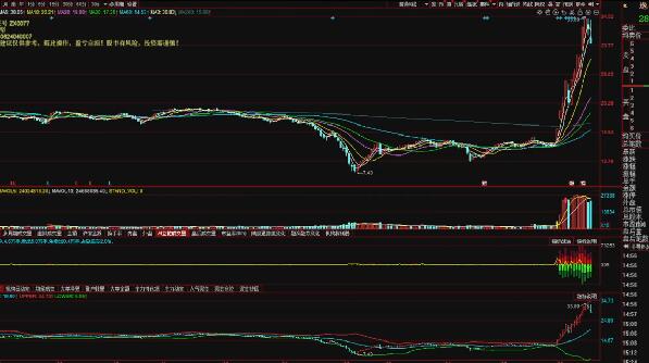【刺客炒手】《20240620刺客炒手直播 视频1集》