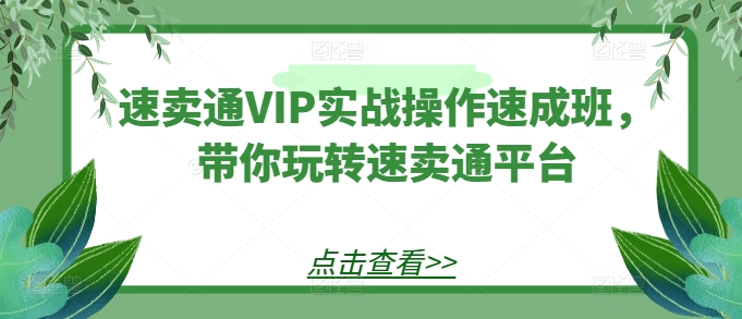 【速卖通】速卖通VIP实战操作速成班，带你玩转速卖通平台
