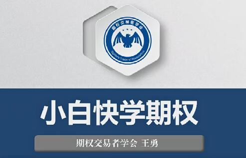 【王勇】《王勇 小白快学期权视频教程（9讲）》