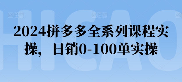 2024拼多多全系列课程实操，日销0-100单实操_恒
