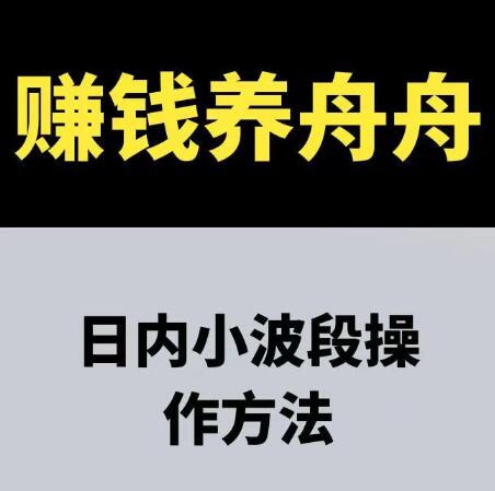 【赚钱养舟舟】《赚钱养舟舟 日内小波段操作方法 期货课程》
