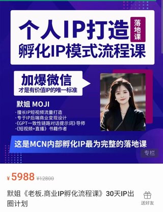 【抖音上新】默姐·老板商业IP孵化流程课 30天IP出圈计划，一套最为完整的个人IP短视频落地课程（高阶版）