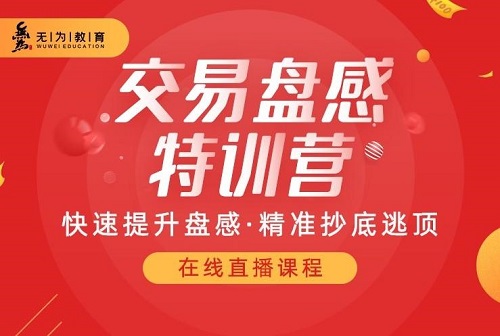 【无为】《无为投资课堂 第238期盘感实操应用课 共19节课》