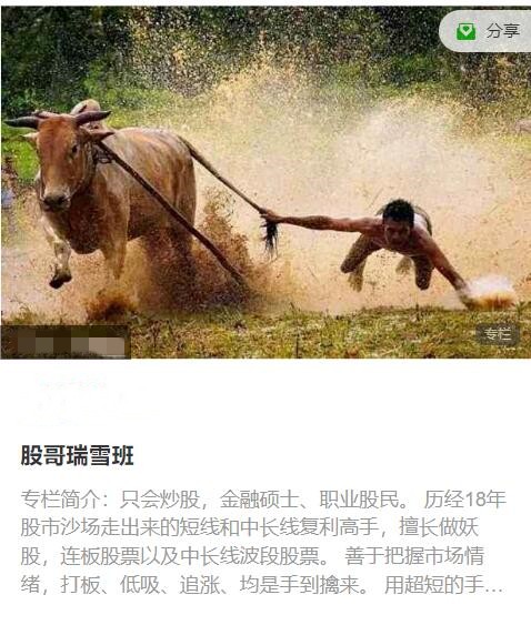 只会炒股2023年11-12月 股哥瑞雪班视频课程