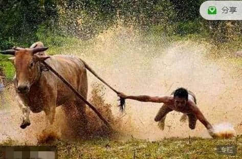 【股哥】股哥训练营只会炒股2024年3-5月 只会炒股春分班视频课程 共16视频