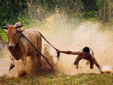 【只会炒股】原价4999元的《只会炒股 股哥23期金融训练营》