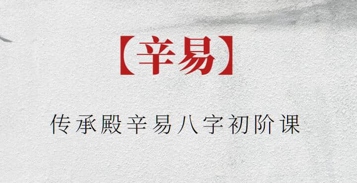 【辛易】传承殿辛易八字初阶课