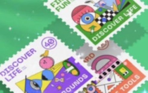 【设计上新】204. 同捉平面图形构成训练营第9期2023年【画质高清只有视频】