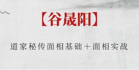 谷晟阳《道家秘传面相基础+面相实战》