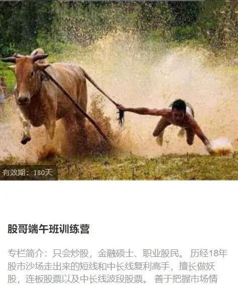 【只会炒股】《股哥2023年6-8月 端午班训练营视频课程 共16视频》