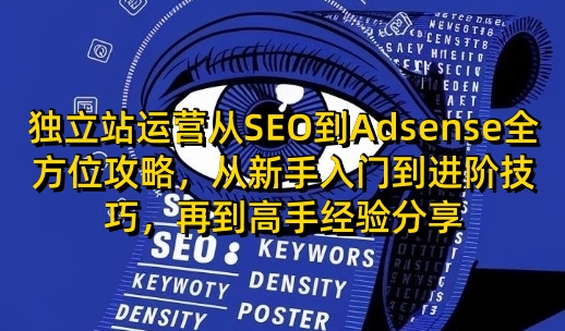 独立站运营从SEO到Adsense全方位攻略，从新手入门到进阶技巧，再到高手经验分享插图